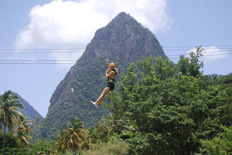 Zipline Adventure